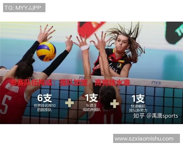 武汉排球队技术表现深度分析与数据解读探讨