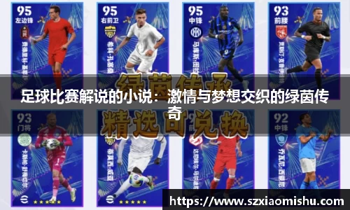 足球比赛解说的小说：激情与梦想交织的绿茵传奇