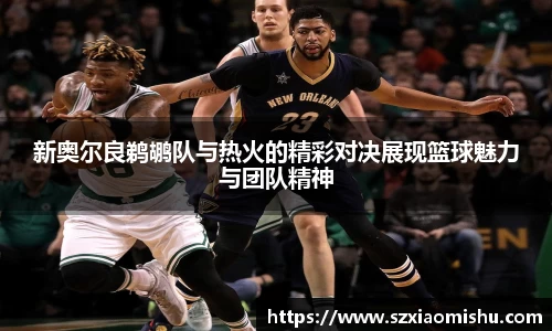 新奥尔良鹈鹕队与热火的精彩对决展现篮球魅力与团队精神